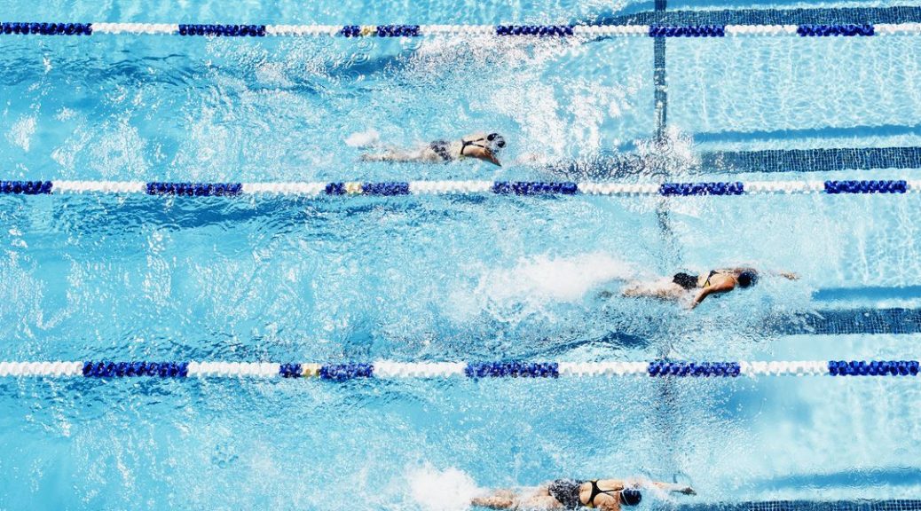 Photo of swimmers competing in a swimming pool